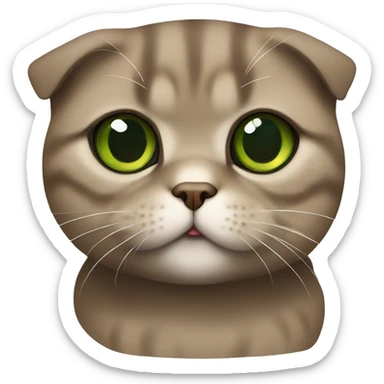 Brown scottish fold with green eyes  sticker