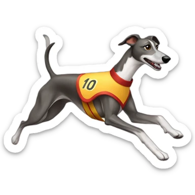 Greyhound running with sash with number  sticker