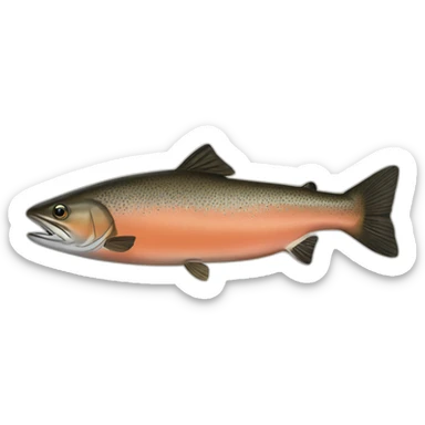 brown-chinook-salmon sticker