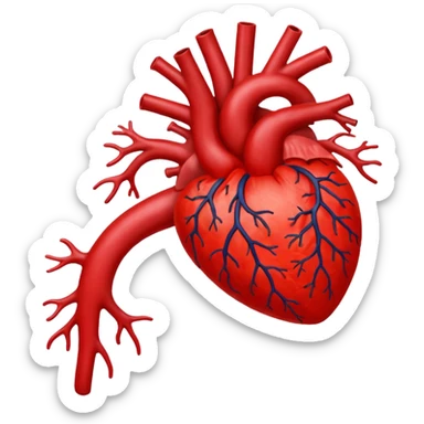 blood  circulation thought body   sticker