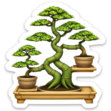 Three tiered bonsai planters stand, shelving holding six specimens,made of inch thick bamboo  sticker