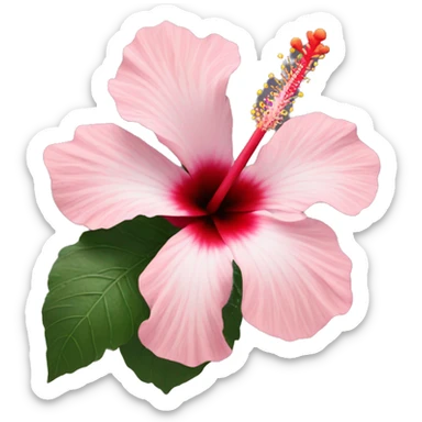 hibiscus sticker