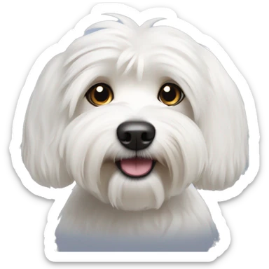 White havanese dog sticker