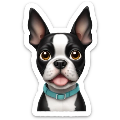 Boston terrier sticker