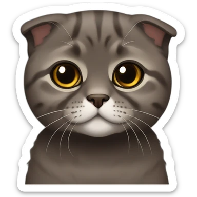 Dark brown Scottish fold breed cat sticker