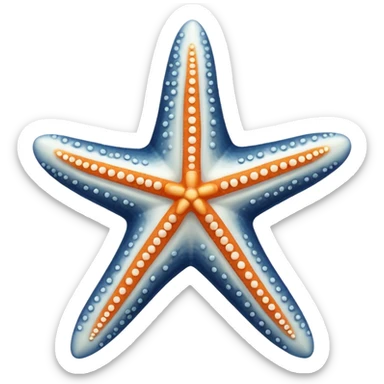 white star fish sticker