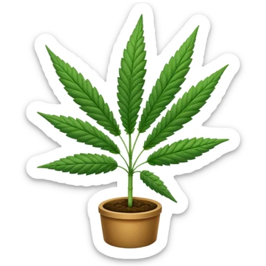marijuana sticker