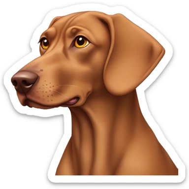 Hungarian viszla dog sticker