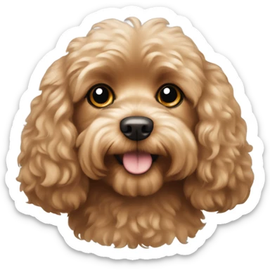 A light brown fluffy cavoodle dog sticker