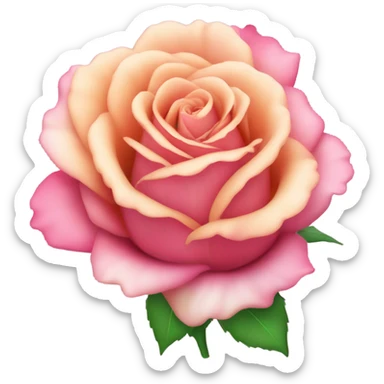 Rosa sticker