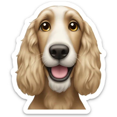 Smiling afganhound sticker