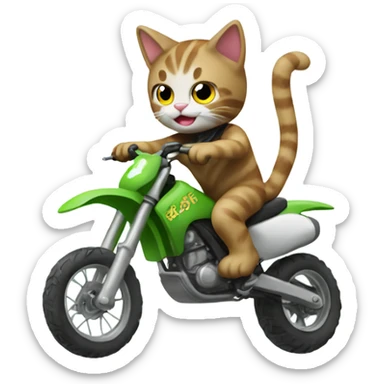 Cat riding dirtbike sticker