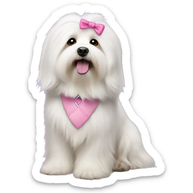 Long haired Coton de Tulear dog with pink harness and pink hair bow sticker
