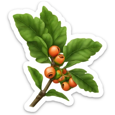 Ripe guarana on branch sticker