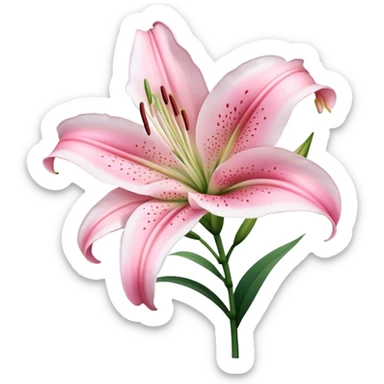 single Bi-Colored Oriental Lily, straight stem sticker