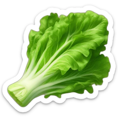 lettuce sticker