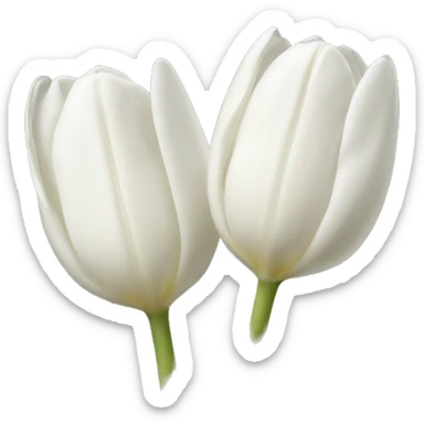 White tulips  sticker