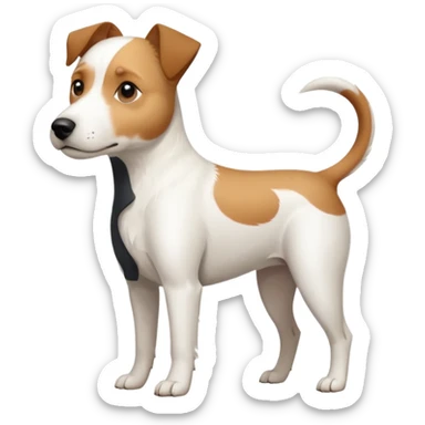 a full body slightly chubby white parson russell terrier looking dog the size of a kelpie with light brown long ears and a light brown patch on one eye and a large snout. the rest of the dog is completely white sticker