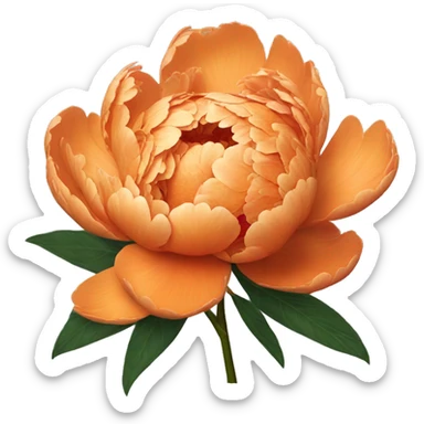 Single orange peony sticker