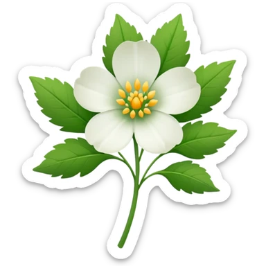 veronica flower white sticker