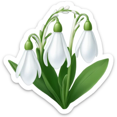 Snowdrop flower sticker