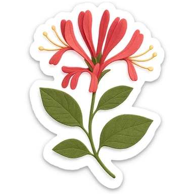 honeysuckle plant with flowers and leaves, delicate paper layers, realistic textures, vibrant colors sticker