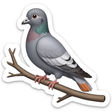 pigeon sticker