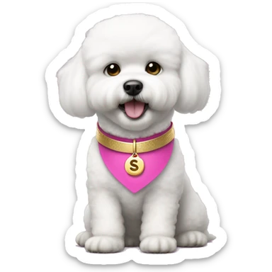 bichon dog wearing a pink collar with a gold coin shaped tag with the letter "S" hanging from the collar sticker