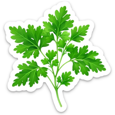 Cinematic Realistic Parsley Emoji, Fresh and vibrant, with bright green, frilly leaves that seem to shimmer with vitality. The plant exudes a sense of healthy growth and aromatic zest, inviting both beauty and flavor into any dish. Soft glowing outline, capturing the essence of freshness, health, and culinary delight in a sprig of parsley! sticker