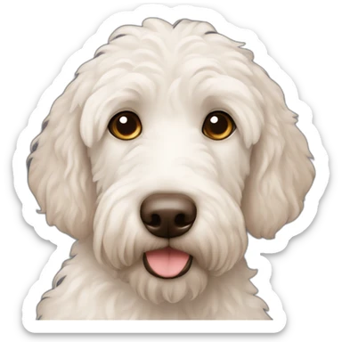 White Labradoodle brown nose sticker