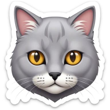 Eine britische Kurzhaarkatze in mehr weiß als grau sticker