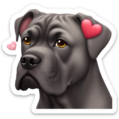 A Cane Corso with hearts over his head. sticker