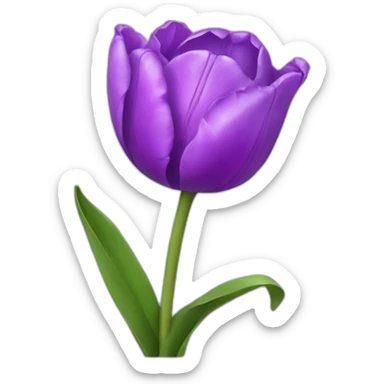 Purple tulip rose sticker