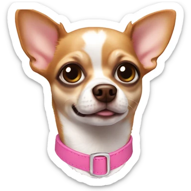 Brown and white chihuahua wearing a pink collar  sticker
