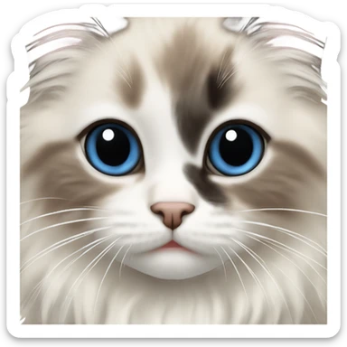 Ragdoll kitten sticker