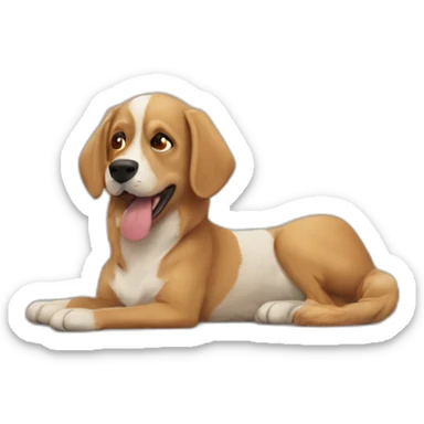Chat qui manifest contre les chien sticker