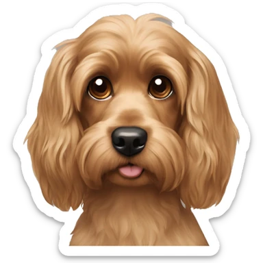 Yorkie/cocker spaniel mix sticker