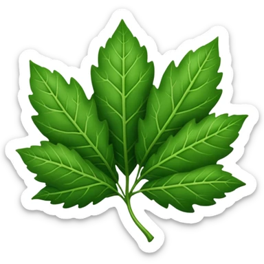 "iOS style leaves emoji, green with detailed veins, no background" sticker