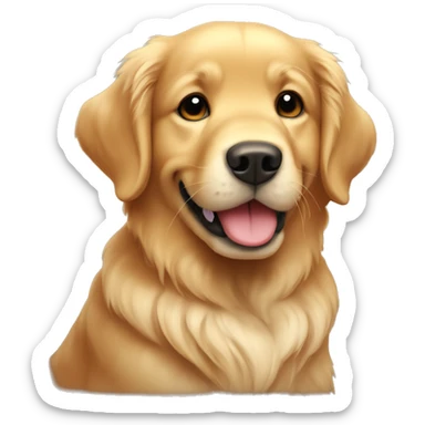 Very cute golden retriever very coquet and cutesy  sticker