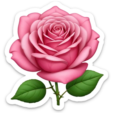 Eine Pfingstrose in rosa sticker