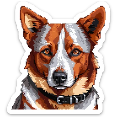 head shot of red heeler cattle dog with distinctive red speckled coat sticker
