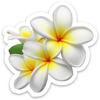 Plumeria flower sticker