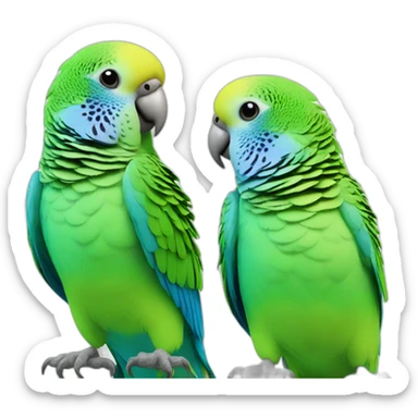 Two budgerigars: blue and green wave parrots sticker