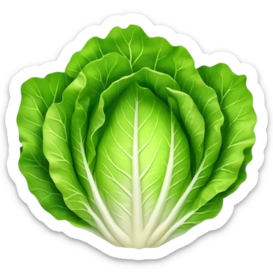 lettuce leaf on a plate sticker