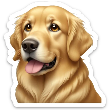 Golden retriever looking grouchy sticker