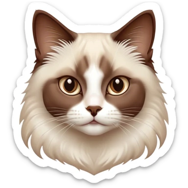 Cinematic Chocolate-Point Ragdoll Cat Portrait Emoji, Elegant and alert, sleek brown and white tones with a distinct white nose, Simplified yet sharp features, highly detailed, glowing with a warm, confident glow, high shine, intelligent and poised, stylized with an air of grace, focused and attentive, soft glowing outline, capturing the essence of calmness and elegance, so lifelike it feels as though it could spring into motion with a gentle, poised presence at any moment! sticker