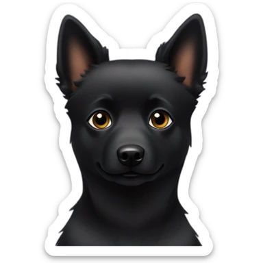 Black schipperke with only black hair and less hair sticker