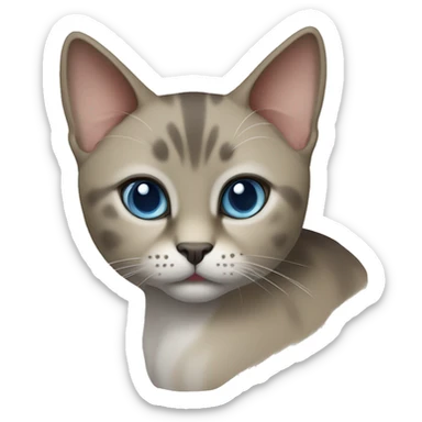 Thai breed cat with a light cream-brown body, dark gray face, ears, and paws. Short fur, sharp ears, and striking light blue eyes with an intense gaze. sticker