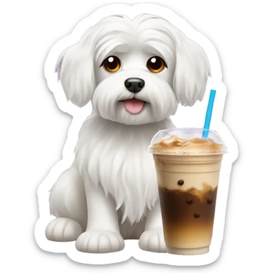 Maltese dog with iced coffee sticker