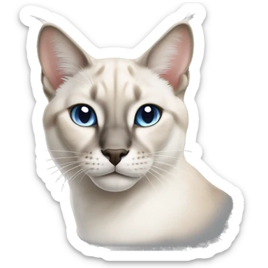 White lynx point Siamese cat  sticker